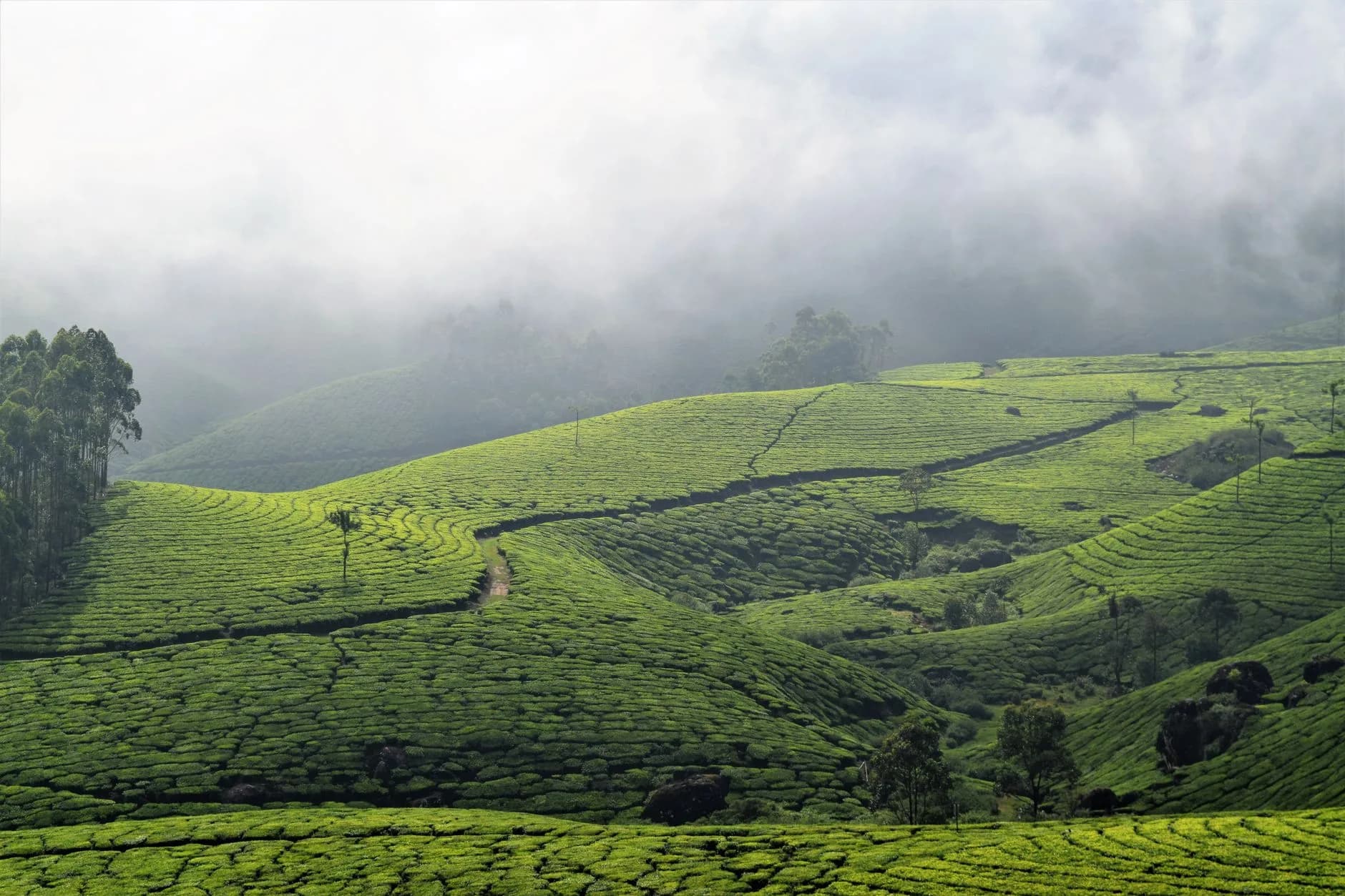 Kerala — cover photo