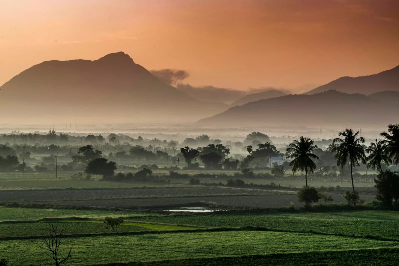 South India — cover photo