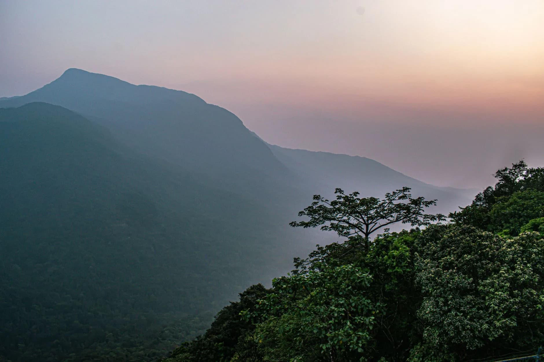 Agumbe + Sringeri — Rainforest & Math