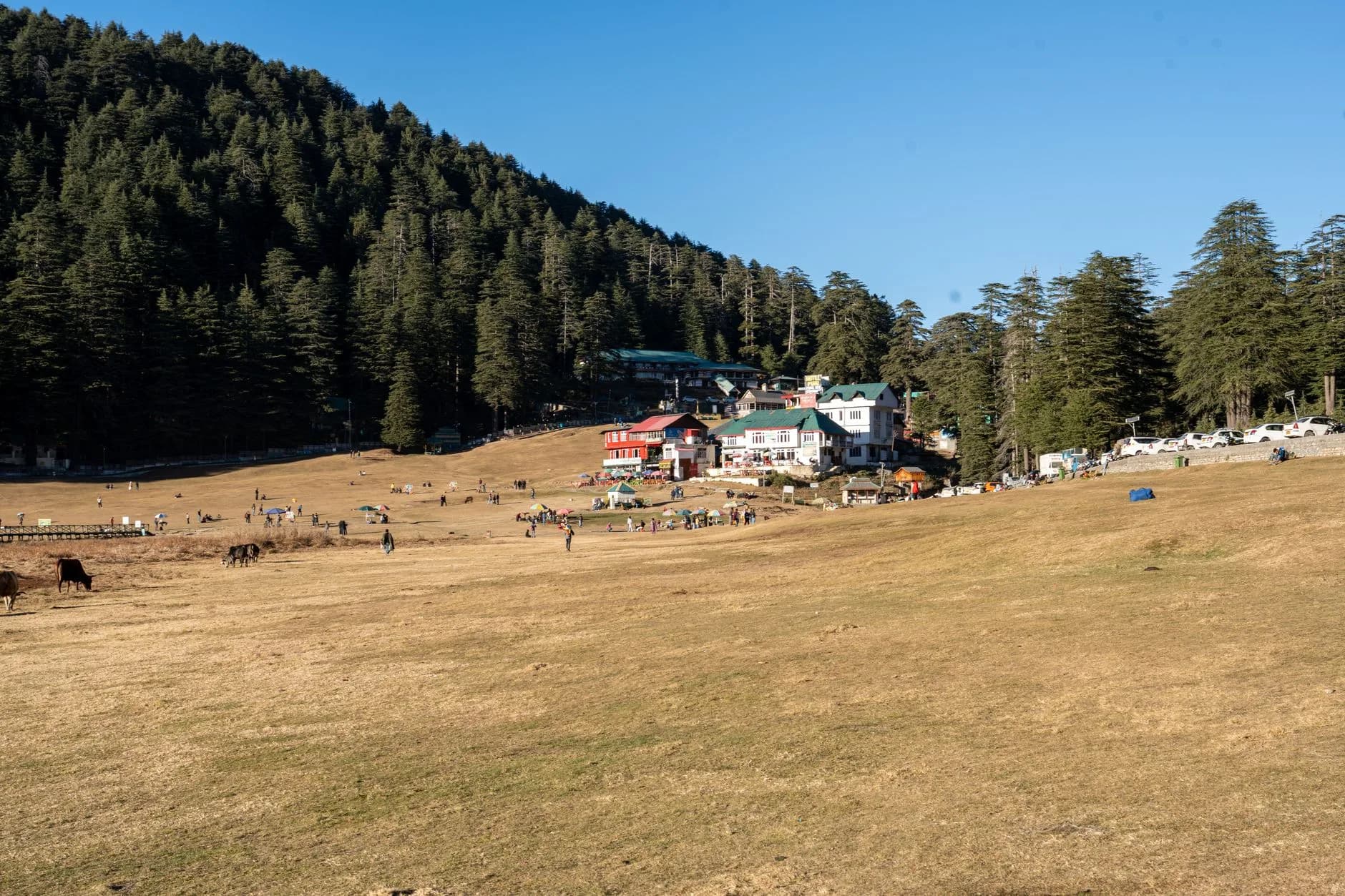 Dalhousie + Khajjiar + Chamba