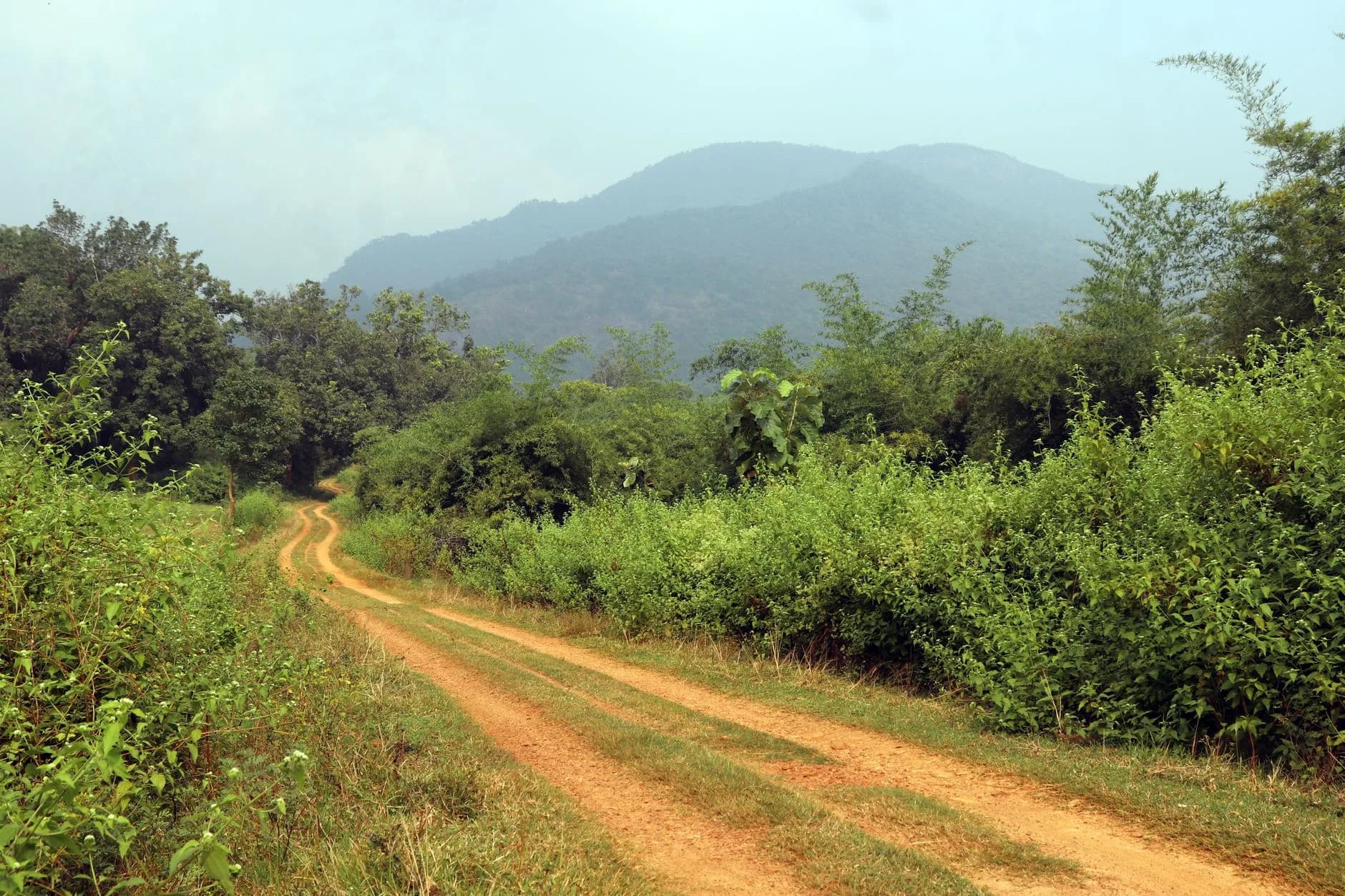 Debrigarh Wilderness — Reservoir Safaris
