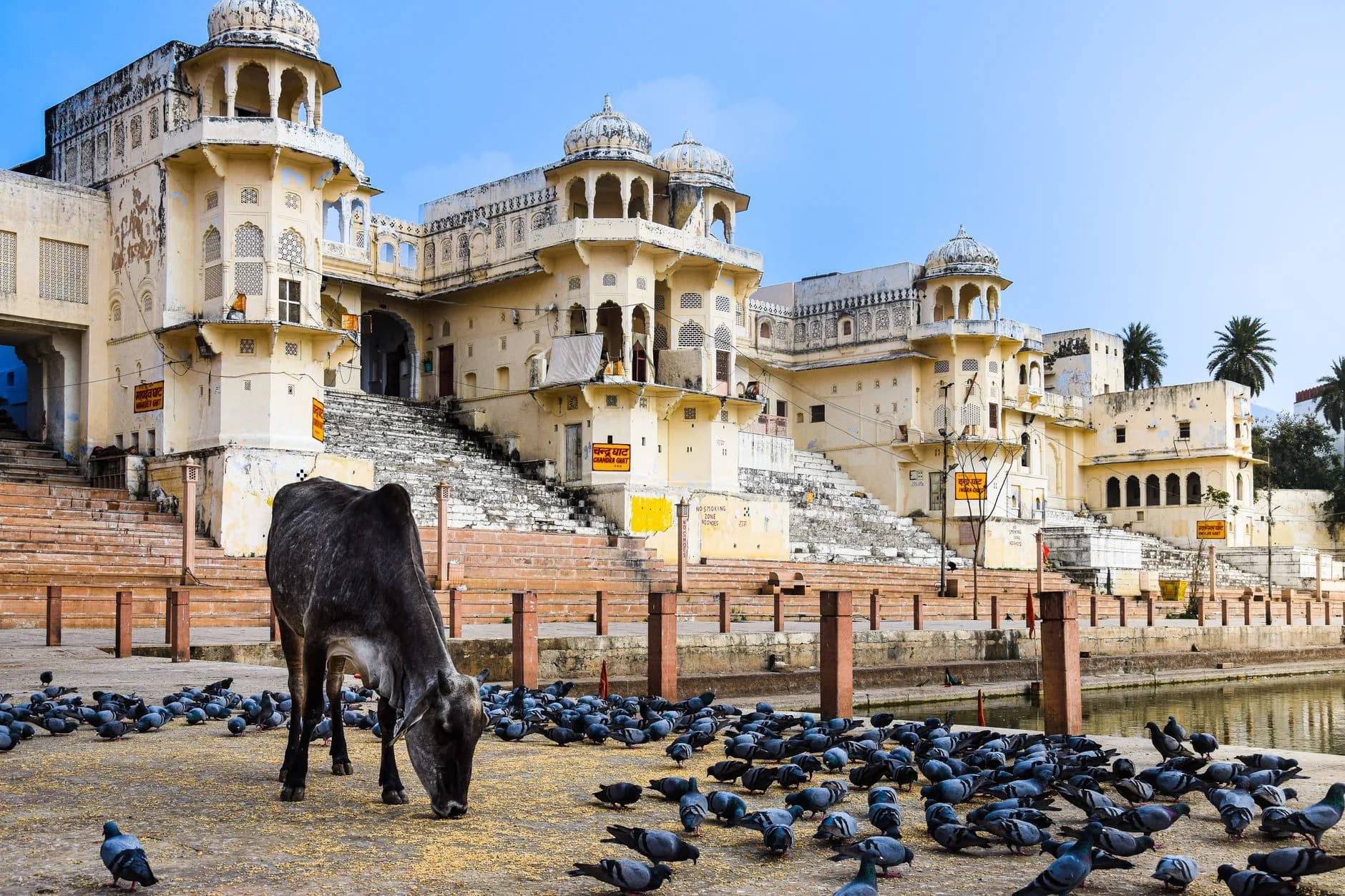 Jaipur–Pushkar Heritage