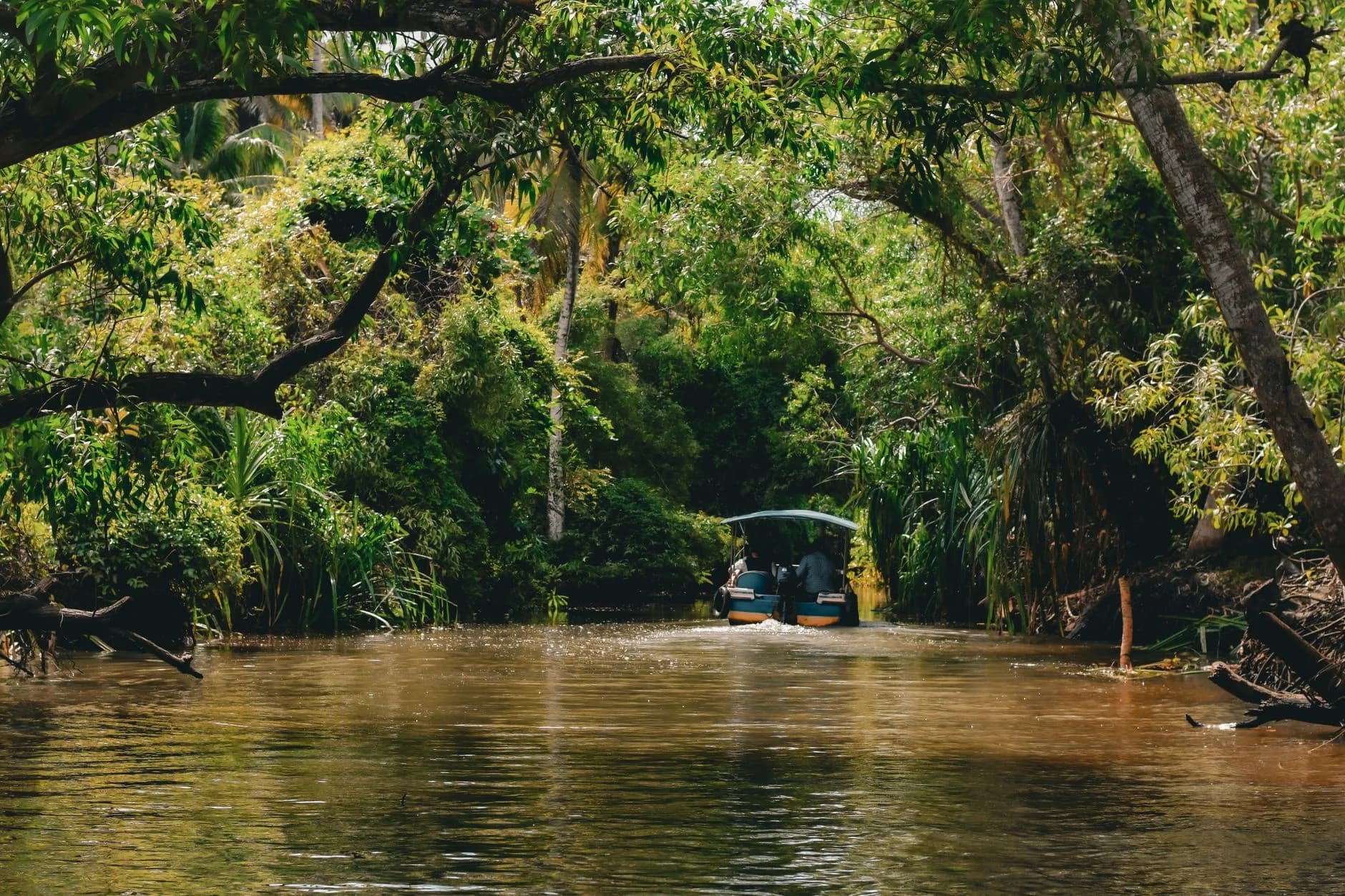 Kumarakom Backwaters — Budget Houseboat