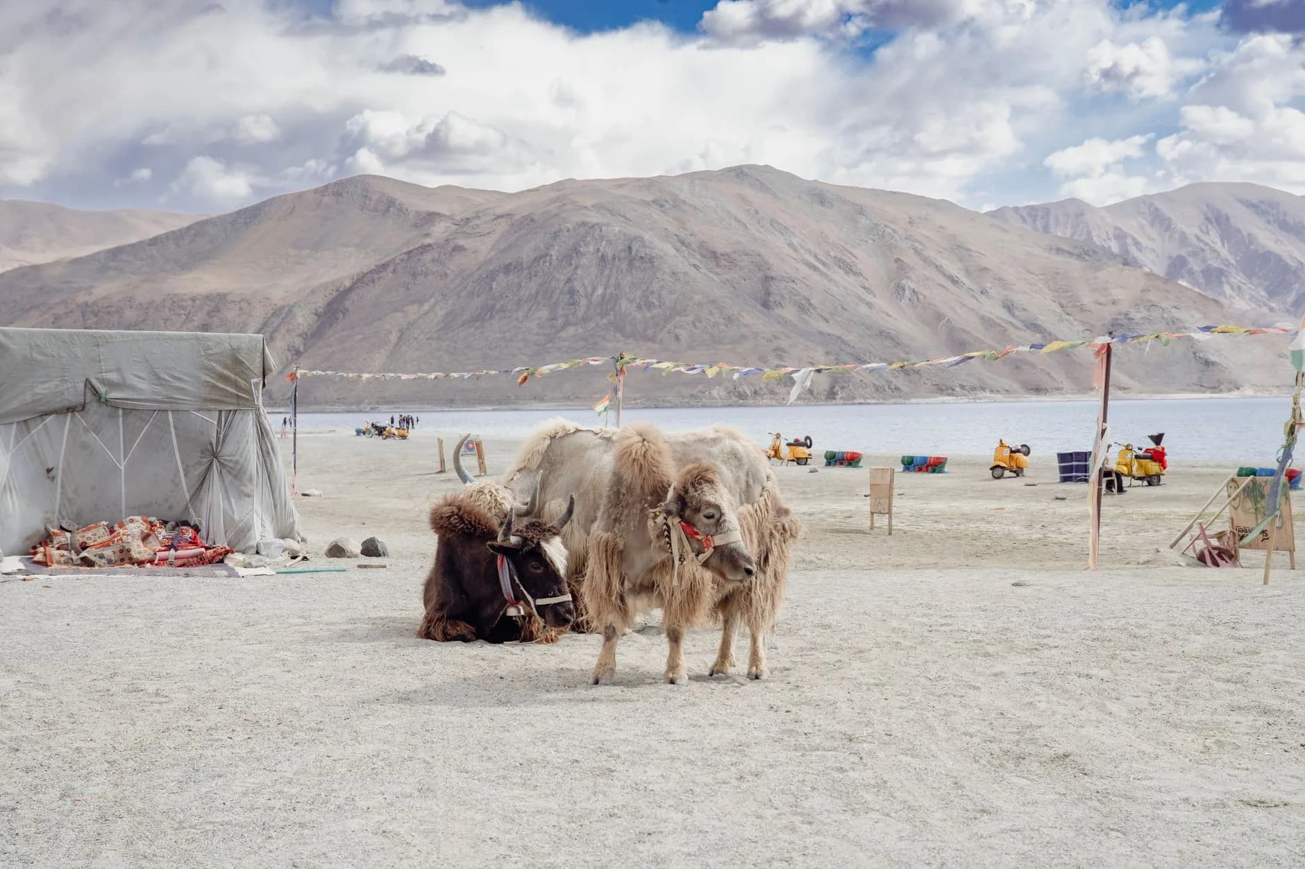 Leh–Nubra–Pangong Classic via Shyok (4x4 SUV)