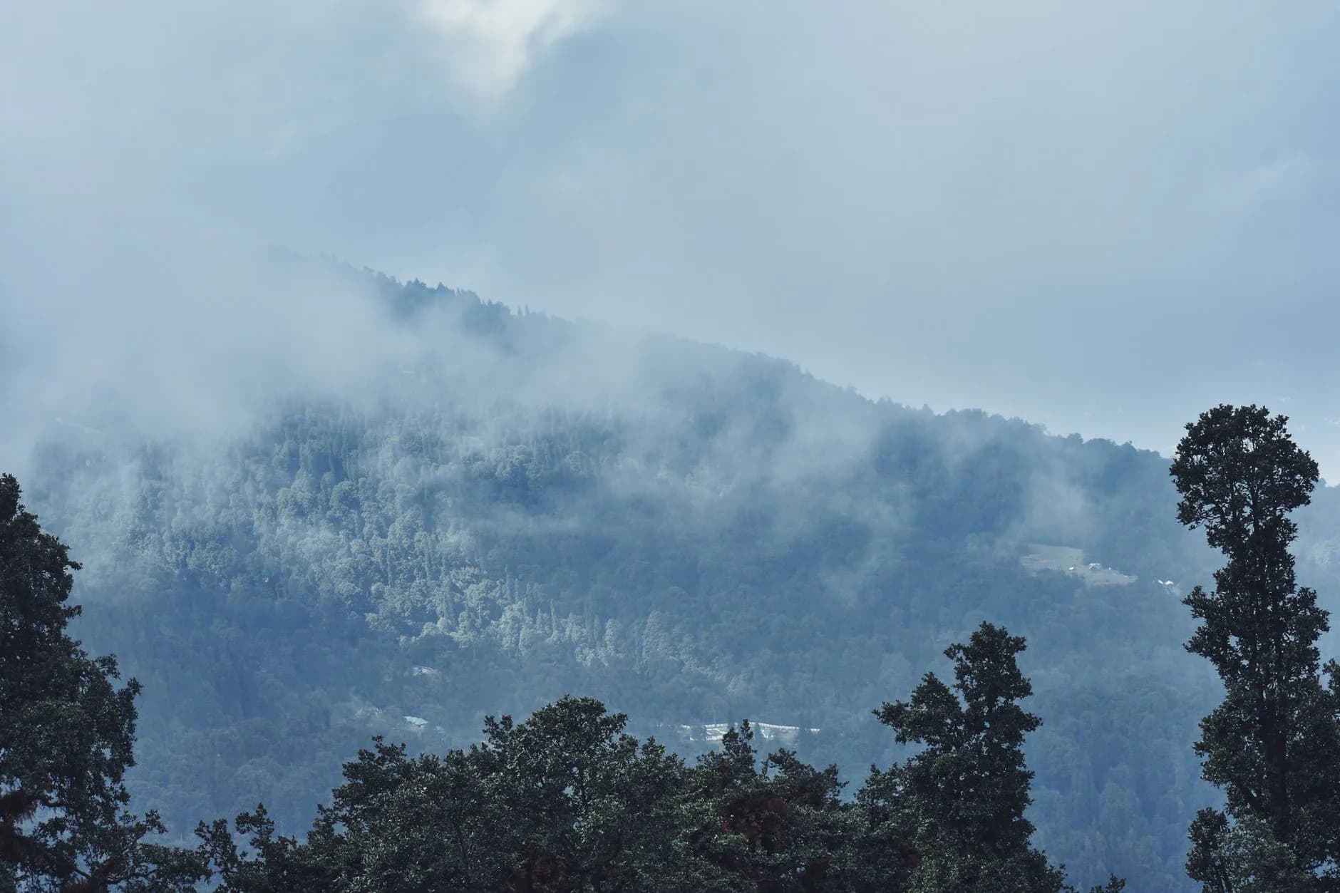 Manali + Jibhi — Valleys & Passes — cover photo