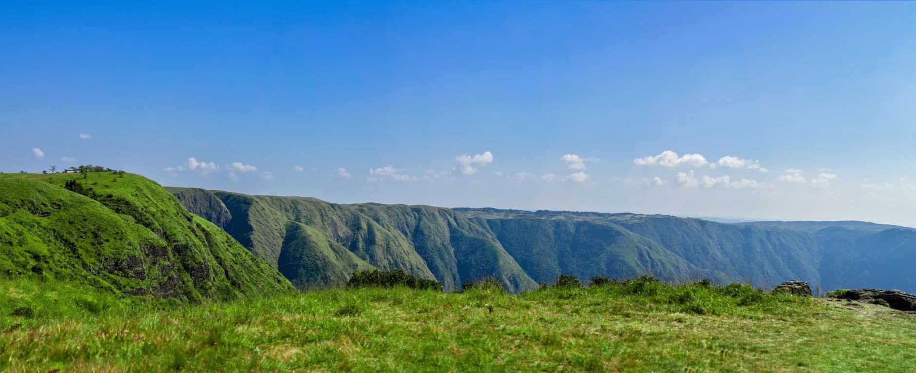 Meghalaya Deep Dive — Nongriat Root Bridge
