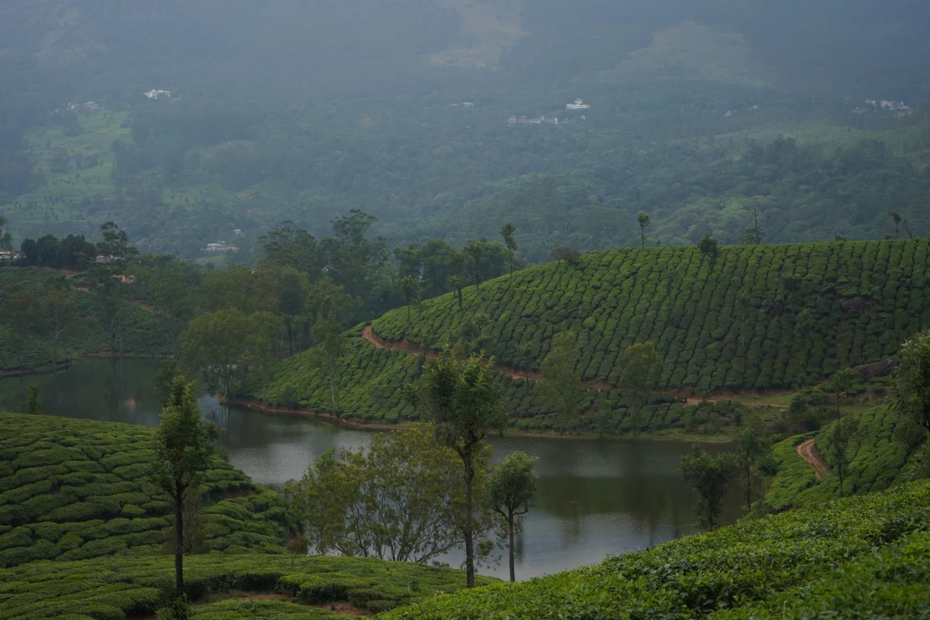 Munnar–Alleppey–Varkala–Kovalam — Hills & Coast