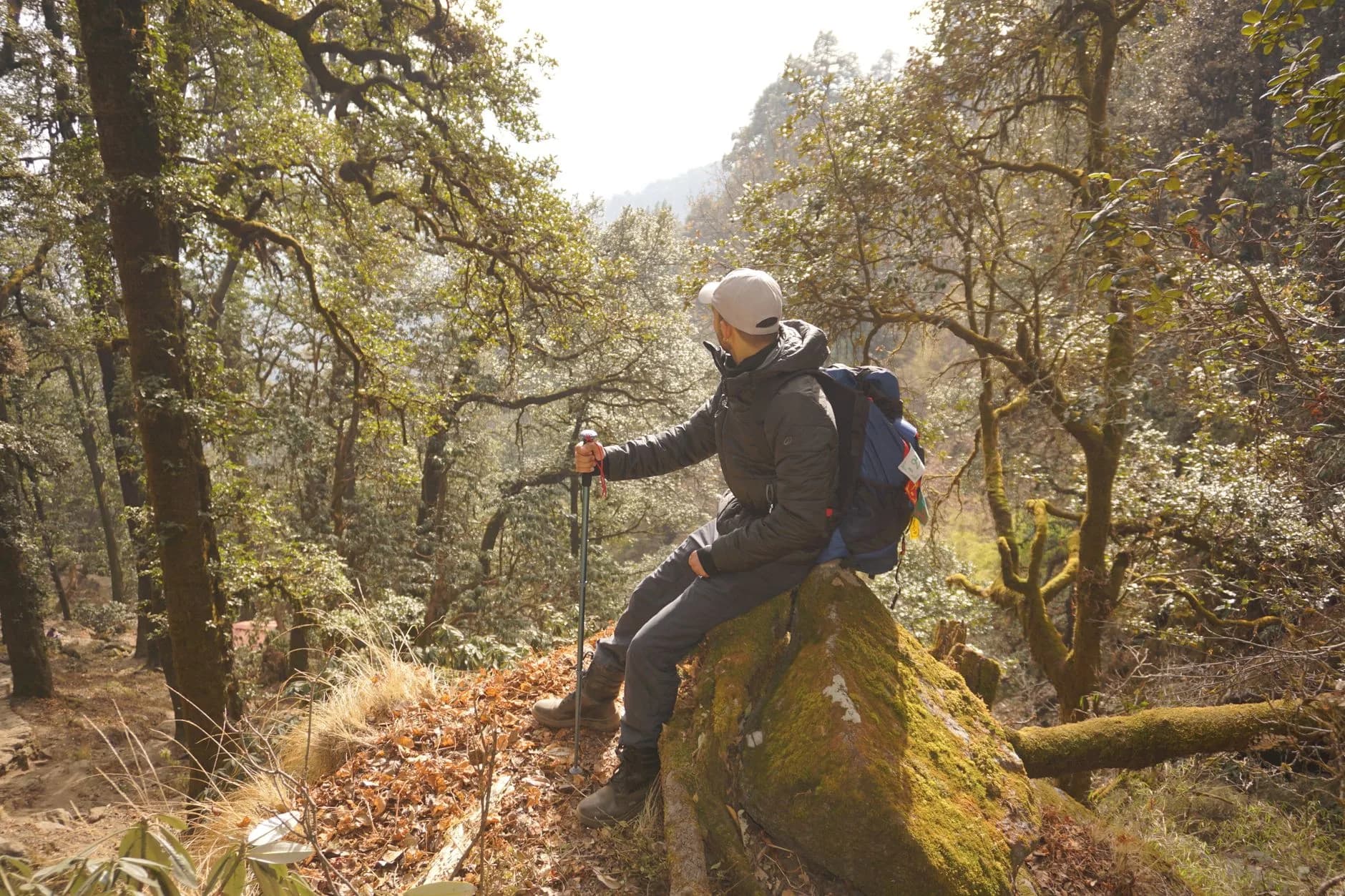 Nongriat Root Bridge Trek