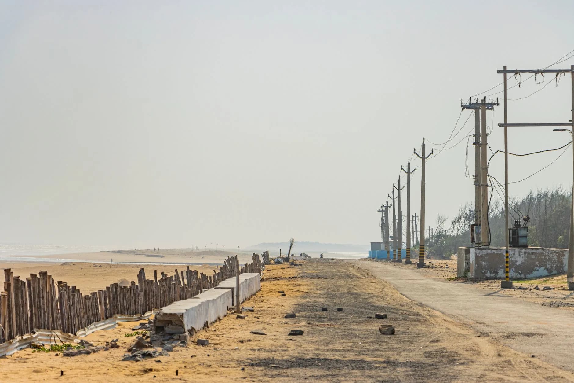 Odisha Coast Complete — Craft, Lagoon & Birding