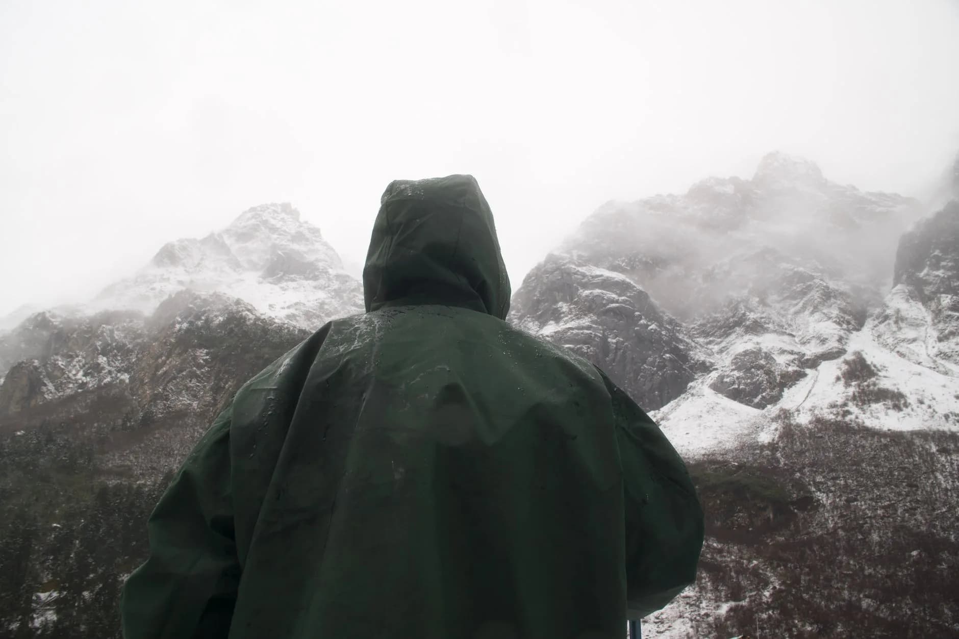 Sandakphu–Phalut Trek